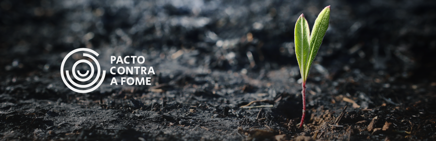 Banner Fundo Pacto contra a Fome